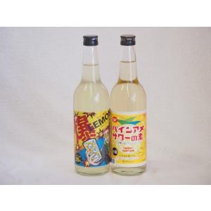 本格酎ハイの素2本セット(サワー専用 爆レモン パインアメサワーの素) 600ml×2本｜sake-gets