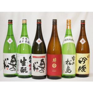 東北限定とっておきの地酒日本酒6本セット(奥の松特別純米酒 全米吟醸 吟醸 南部美人特別純米酒雪の松島特別純米酒大七純米酒)1800ml×6本