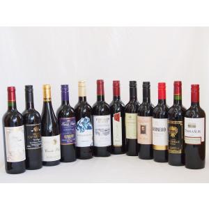 ワインセット 赤ワイン 12本 特選 高品質ワイン12本福袋（赤12本）750ml×12本｜sake-gets