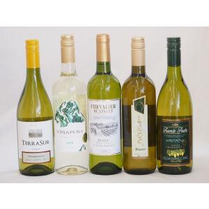 ワインセット セレクション 白ワイン 5本セット ( スペインワイン 1本 フランスワイン 1本 イタリアワイン 1本 チリワイ｜sake-gets