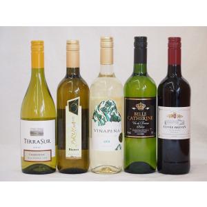 ワインセット 赤ワイン 白ワイン 特選高品質ワイン5本福袋（白4本、赤1本）750ml×5本｜sake-gets