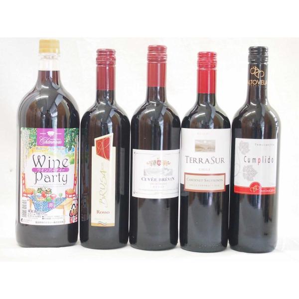 ワインセット パーティ5本セット セレクション5ヵ国赤ワインセット（イタリア、フランス、チリ、スペイ...