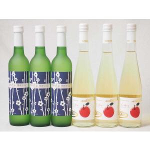 国産フルーツ甘口ワイン6本セット 京都青谷梅 丹波りんごワイン (京都府) 500ml×6本｜sake-gets