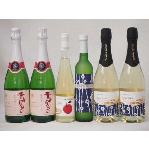 国産フルーツワイン6本セット京都青谷梅わいん500ml Cider 青森弘前産りんご使用500ml 京都青谷産スパークリング梅わいん750ml×2本｜sake-gets