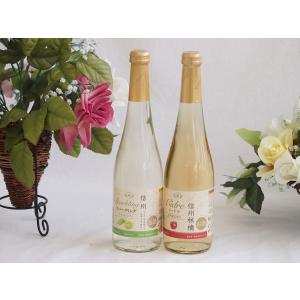 国産フルーツワイン2本セット(シャインマスカット＆ナイアガラ 信州林檎) 500ml×2本｜sake-gets