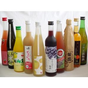 果実リキュール10本セット 紀州産 南高梅使用ブルーベリー梅酒 500ml（和歌山）・高千穂酒造 宮崎産日向夏みかん使用 日向夏｜sake-gets