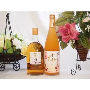 梅酒2本セット(加賀梅酒(石川県) 高千穂産梅使用熟成梅酒) 720ml×2本｜sake-gets