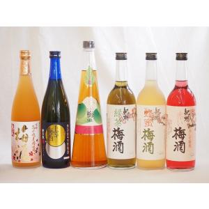 スペシャル梅酒6本セット(高千穂産梅使用熟成梅酒 手作り梅酒(宮崎県) 赤しそ赤い梅酒(和歌山) 芳醇ブランデー仕立チョーヤ梅酒 無添加上等梅酒(鹿児｜sake-gets