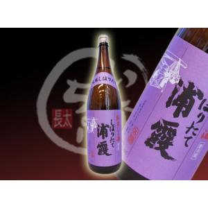 浦霞 純米なましぼりたて 1800ml｜sake-inacho