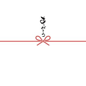 【ギフトラッピング】+のしの詳細画像3
