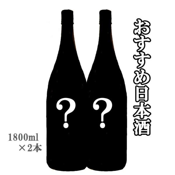 日本酒 当店おすすめの日本酒2本セット 火入れ 1800ml 送料無料