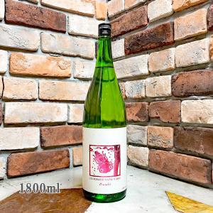 日本酒 いづみ橋 夏ヤゴ ピンク 生もと仕込み 純米原酒 1800ml