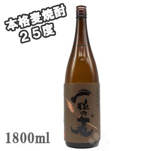 国分酒造 芋焼酎 sunny cream サニークリーム 1800ml お一人様1本限定