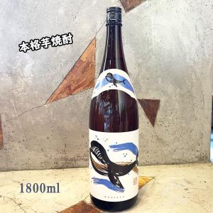 国分酒造 芋焼酎 sunny cream サニークリーム 1800ml お一人様1本限定