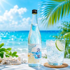 魔王 芋焼酎 お楽しみ福箱 720ml 4本セット (魔王・宝山芋麹全量が必ず
