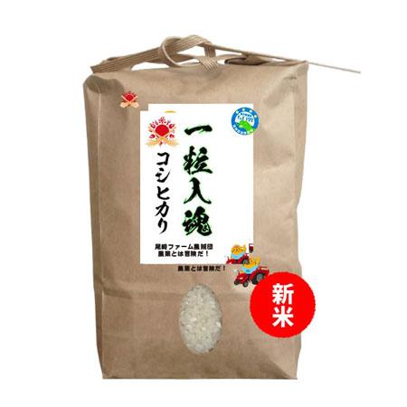 減農薬無化学肥料栽培米・一粒入魂米コシヒカリ　5Kg入り　2025年度産新米　入荷