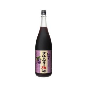 「限定」中野BC　紀州のブルーベリー梅酒　12度　1800ml｜sake-ninja