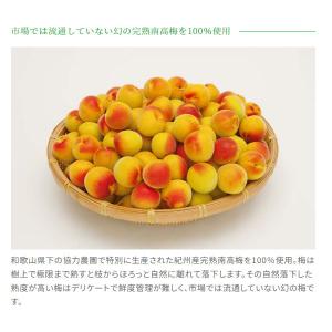 数量限定 チョーヤ アイスヌーボー(CHOYA...の詳細画像1