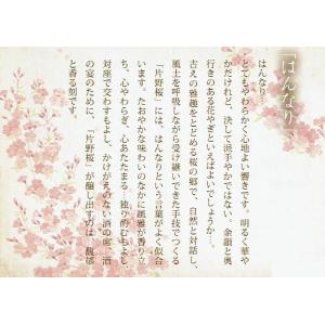 【夏季限定】かたの桜 純米吟醸 風の香 かぜの...の詳細画像4