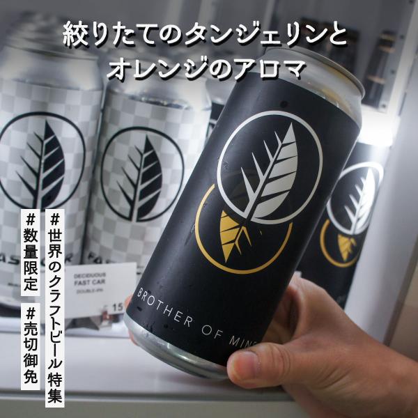 from USA DECIDUOUS / BROTHER OF MINE（ディシジュアス / ブラザ...