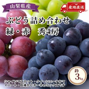 [予約直送]山梨県産ぶどう シャインマスカット クイーンニーナかマイハート 巨峰かピオーネ 秀4房 約3kg 【綿半秋の果物】【9月初旬〜10月下旬順