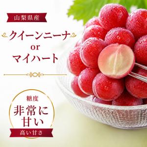 [予約直送]山梨県産ぶどう シャインマスカット...の詳細画像2