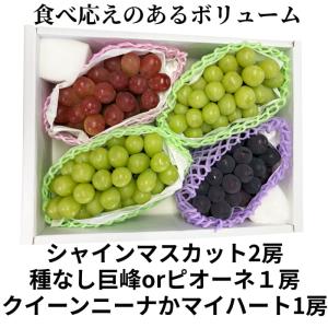 [予約直送]山梨県産ぶどう シャインマスカット...の詳細画像4