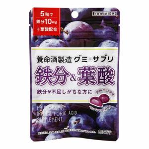 養命酒 グミXサプリ 鉄分&葉酸 40g ×6 メーカー直送｜sake-premoa