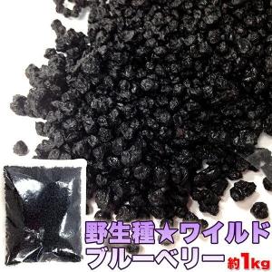 野生種ワイルドブルーベリー大容量1kg メーカー直送｜sake-premoa