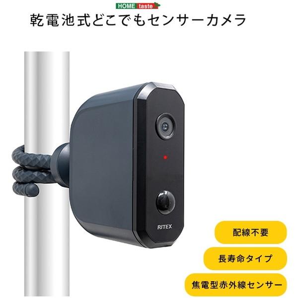 SH-17-ML15 乾電池式どこでもセンサーカメラ BK ホームテイスト ブラック メーカー直送
