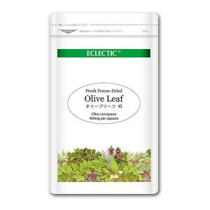 エクレクティック オリーブリーフサプリの買取情報