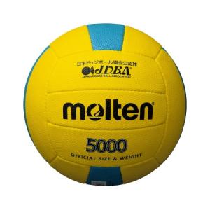 EVERNEW（エバニュー） 法人限定 EKD426 2 バドミントン支柱KS 20cm