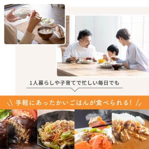 電子レンジ 単機能 フラット フラットテーブル...の詳細画像5