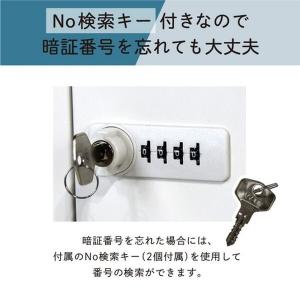 Netforce NSAFE-24-W-BK ...の詳細画像4