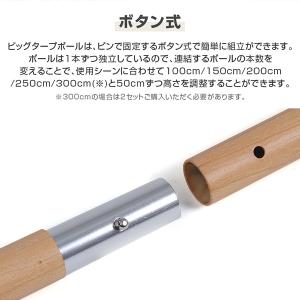 DOD ポール ビッグタープポール XP5-5...の詳細画像5