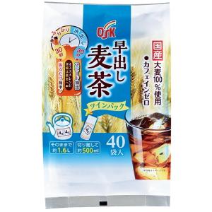 小谷穀粉 早出し麦茶ツインパック40袋