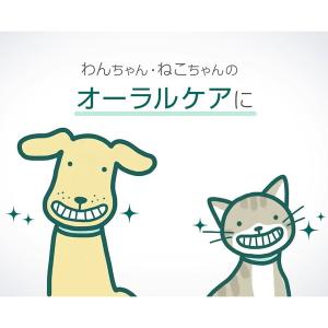 いなばペットフード CIAO ちゅ〜る 歯と歯...の詳細画像4