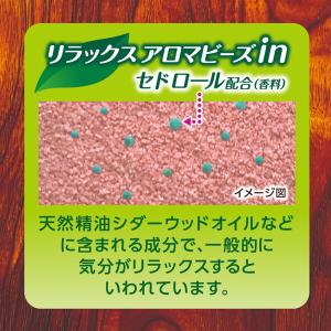 白元アース HERSバスラボボトル サンダルウ...の詳細画像3