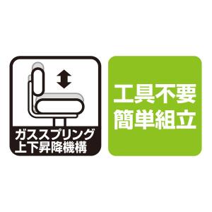 Nakabayashi RZR-112BK ラ...の詳細画像1
