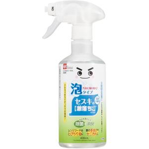 LEC 激落ちくん セスキ密着泡スプレー 400ml｜sake-premoa