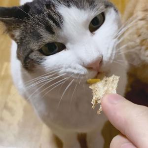 ペティオ ねこちゃんの素材そのまま 無添加極上...の詳細画像3