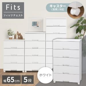 天馬(Tenma) フィッツチェスト 6505 ...の商品画像