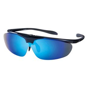 SWANS（スワンズ） マルチスポーツ F-STX DA BK SETUP用フレーム