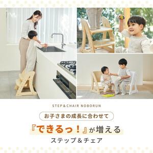 KATOJI 2WAYステップ&チェア...の詳細画像3