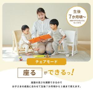 KATOJI 2WAYステップ&チェア...の詳細画像4