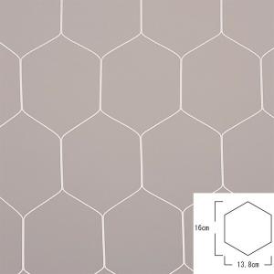 EVERNEW エバニュー EKD841 一般サッカーゴールネット亀甲S115