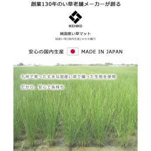 イケヒコ・コーポレーション 112076019...の詳細画像3