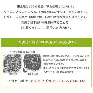 イケヒコ・コーポレーション 112076019...の詳細画像4