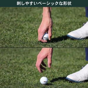 タバタゴルフ GV0432 白木ティー ショートの詳細画像3