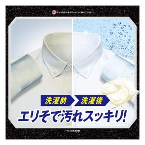 P&G アリエール バイオサイエンス ...の詳細画像1